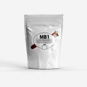 MB1
